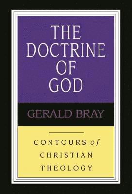 bokomslag The Doctrine of God