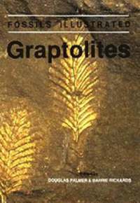 bokomslag Graptolites: 1
