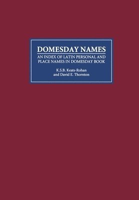 bokomslag Domesday Names