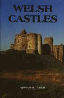 Welsh Castles 1