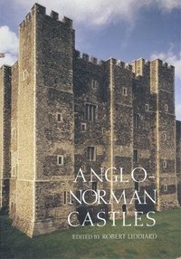 bokomslag Anglo-Norman Castles