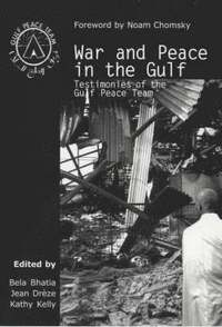 bokomslag War and Peace in the Gulf