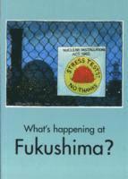 bokomslag What's Happening at Fukushima?