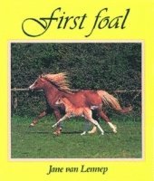 bokomslag First Foal
