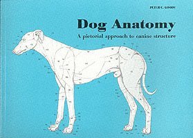 bokomslag Dog Anatomy
