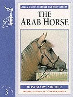 The Arab Horse 1