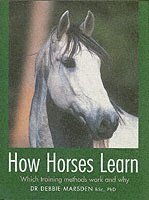 How Horses Learn: Which Training Methods Work and Why