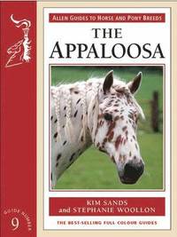 bokomslag Appaloosa Horse