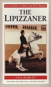 bokomslag Lipizzaner Horse the