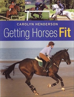 Getting Horses Fit 1
