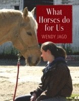 bokomslag What Horses Do for Us