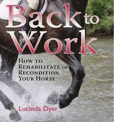 Lucinda Dyer - Back to Work, Inbunden