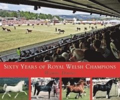 bokomslag Davies, W: Sixty Years of Royal Welsh Champions