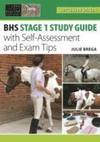 bokomslag Essential Study Guide to BHS Stage 1