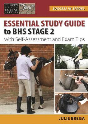 bokomslag Essential Study Guide to BHS Stage 2