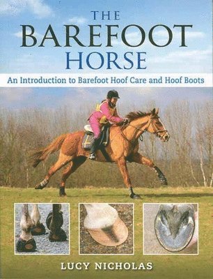 bokomslag Barefoot Horse