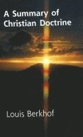 Louis Berkhof - Summary of Christian Doctrine, Häftad