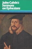 bokomslag Sermons on the Epistle to the Ephesians