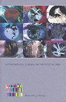 Experimental Cinema in the Digital Age