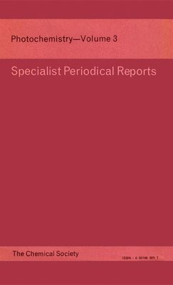 D Bryce-Smith, D (University of Reading) Bryce-Smith, D. Bryce-Smith - Photochemistry, Inbunden