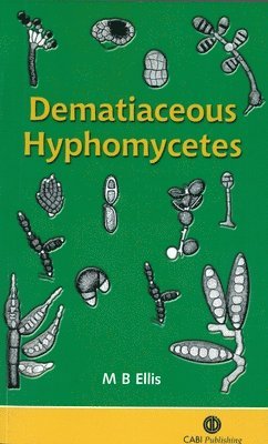 bokomslag Dematiaceous Hyphomycetes