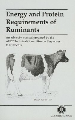 bokomslag Energy and Protein Requirements of Ruminants