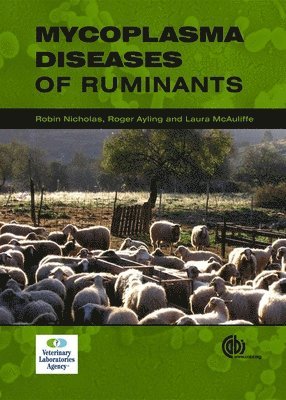 Mycoplasma Diseases of Ruminants