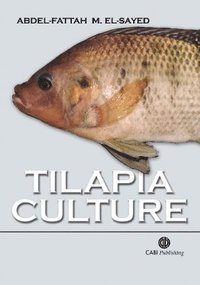 bokomslag Tilapia Culture