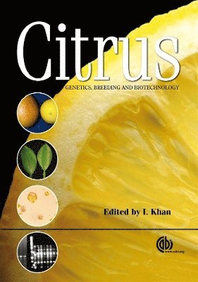 Iqrar Khan, Iqrar Ahmad Khan - Citrus Genetics, Breeding and Biotechnology, Inbunden