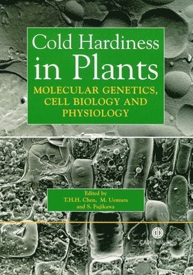 Cold Hardiness in Plants 1