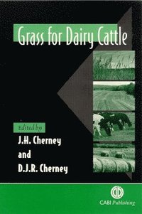 bokomslag Grass for Dairy Cattle