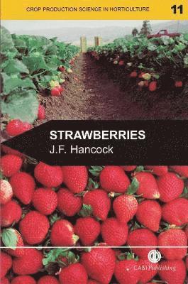 Strawberries 1