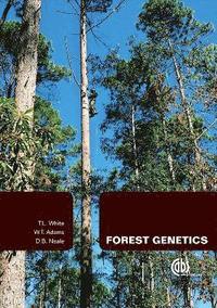 bokomslag Forest Genetics