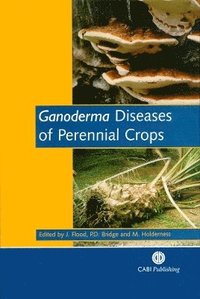 bokomslag Ganoderma Diseases of Perennial Crops