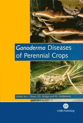 Julie Flood, Paul D. Bridge, Julie Flood, Paul Bridge, Mark Holderness - Ganoderma Diseases of Perennial Crops, Inbunden