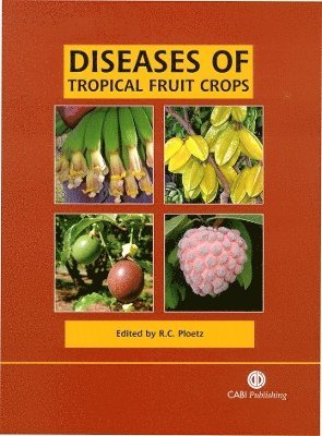 bokomslag Diseases of Tropical Fruit Crops