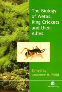 bokomslag Biology of Wetas, King Crickets and their Allies