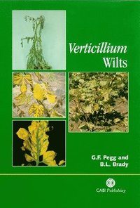bokomslag Verticillium Wilts