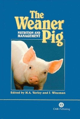 Weaner Pig 1