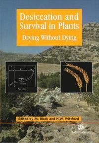 bokomslag Desiccation and Survival in Plants