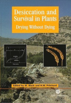 bokomslag Desiccation and Survival in Plants