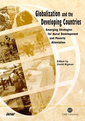 bokomslag Globalization and the Developing Countries