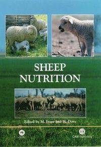 bokomslag Sheep Nutrition