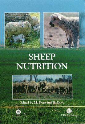 bokomslag Sheep Nutrition