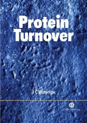 bokomslag Protein Turnover