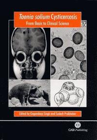 bokomslag Taenia solium Cysticercosis: From Basic to Clinical Science