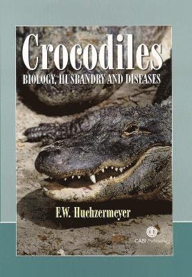 Crocodiles 1