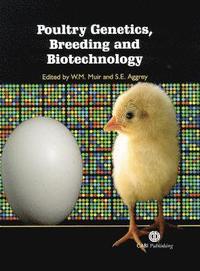bokomslag Poultry Genetics, Breeding and Biotechnology