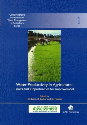 bokomslag Water Productivity in Agriculture