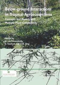 bokomslag Below-ground Interactions in Tropical Agroecosystems